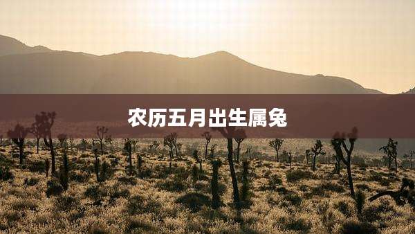 农历五月出生属兔
