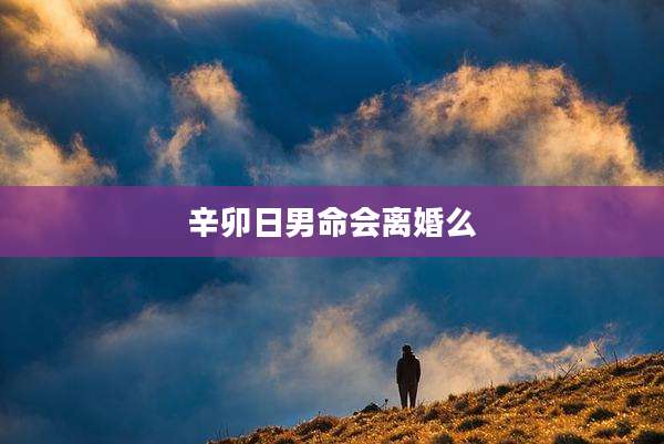 辛卯日男命会离婚么