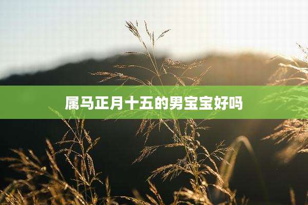 属马正月十五的男宝宝好吗