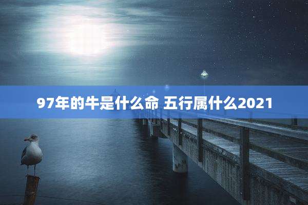 97年的牛是什么命 五行属什么2021