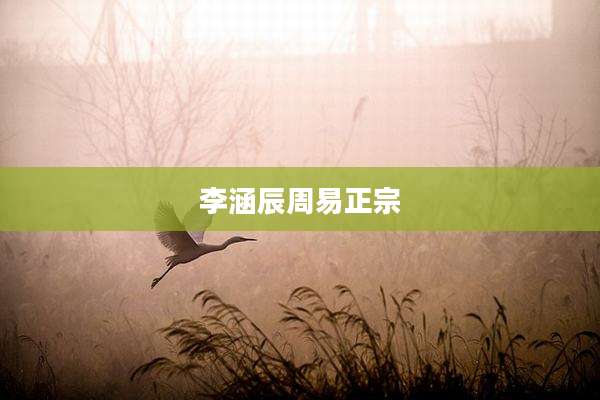 李涵辰周易正宗