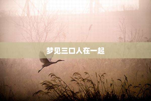 梦见三口人在一起