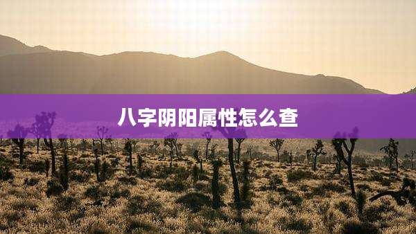 八字阴阳属性怎么查