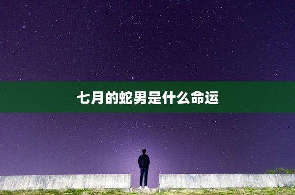 七月的蛇男是什么命运