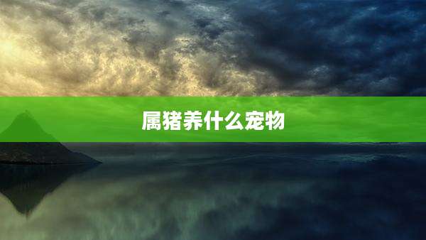 属猪养什么宠物