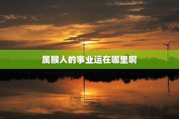 属猴人的事业运在哪里啊