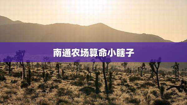 南通农场算命小瞎子
