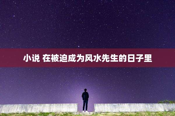 小说 在被迫成为风水先生的日子里