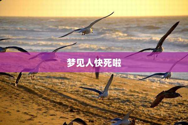梦见人快死啦