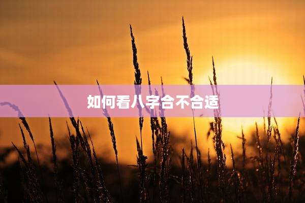 如何看八字合不合适