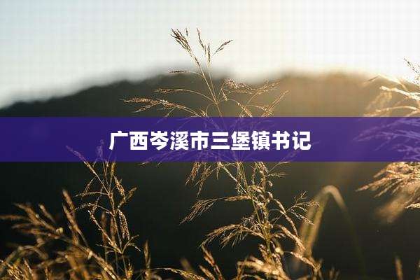 广西岑溪市三堡镇书记
