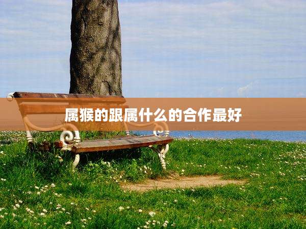 属猴的跟属什么的合作最好