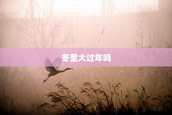 冬至大过年吗