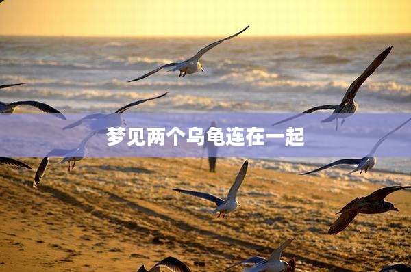 梦见两个乌龟连在一起