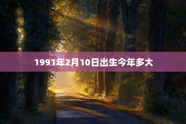 1991年2月10日出生今年多大