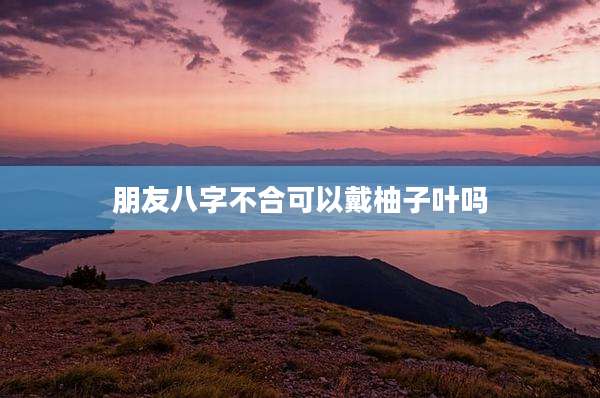 朋友八字不合可以戴柚子叶吗