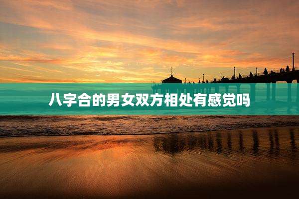 八字合的男女双方相处有感觉吗