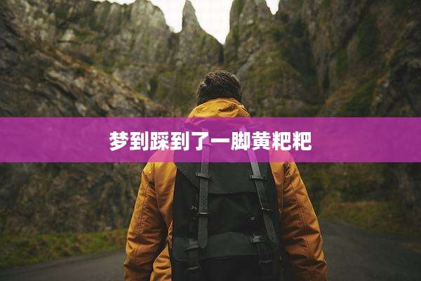 梦到踩到了一脚黄粑粑