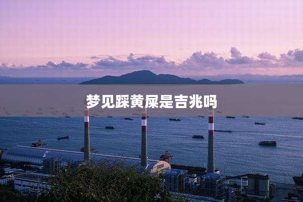 梦见踩黄屎是吉兆吗