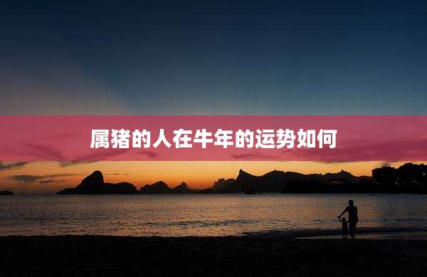 属猪的人在牛年的运势如何