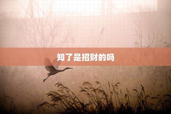 知了是招财的吗