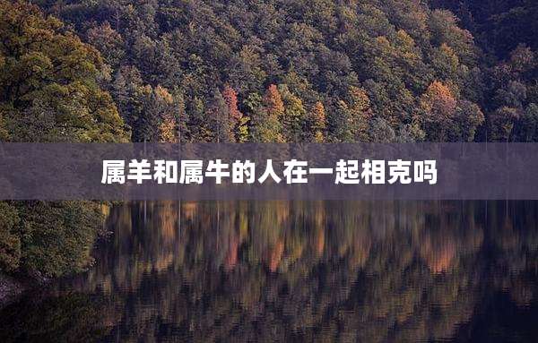 属羊和属牛的人在一起相克吗
