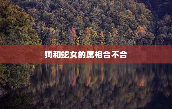 狗和蛇女的属相合不合