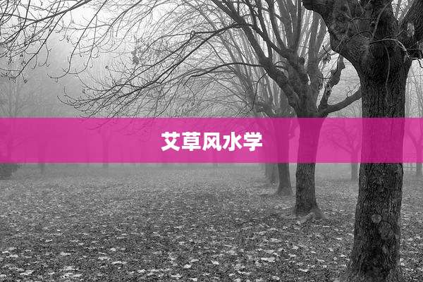 艾草风水学