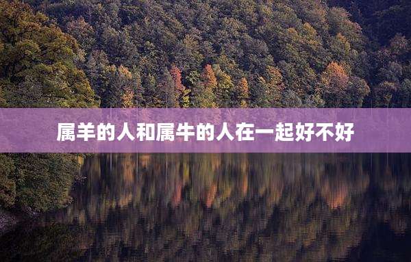 属羊的人和属牛的人在一起好不好