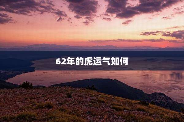 62年的虎运气如何