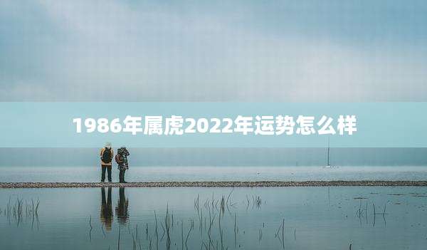 1986年属虎2022年运势怎么样