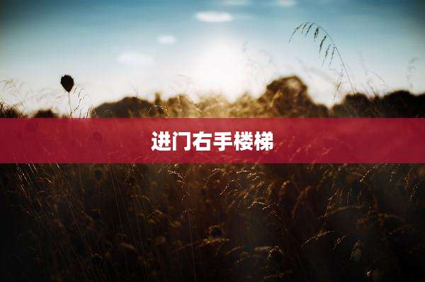 进门右手楼梯