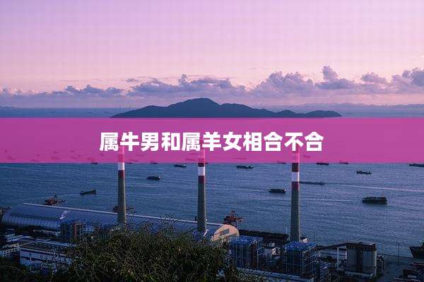 属牛男和属羊女相合不合