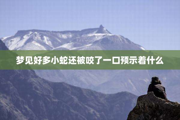 梦见好多小蛇还被咬了一口预示着什么