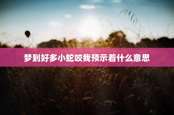 梦到好多小蛇咬我预示着什么意思