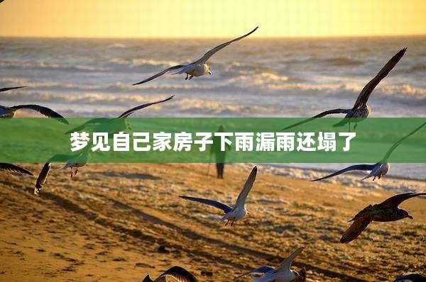 梦见自己家房子下雨漏雨还塌了