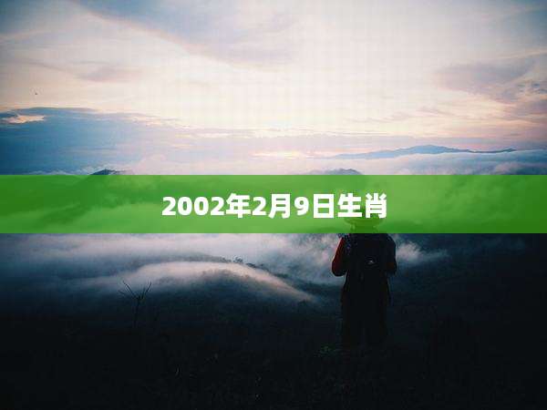 2002年2月9日生肖