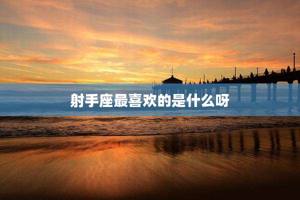 射手座最喜欢的是什么呀