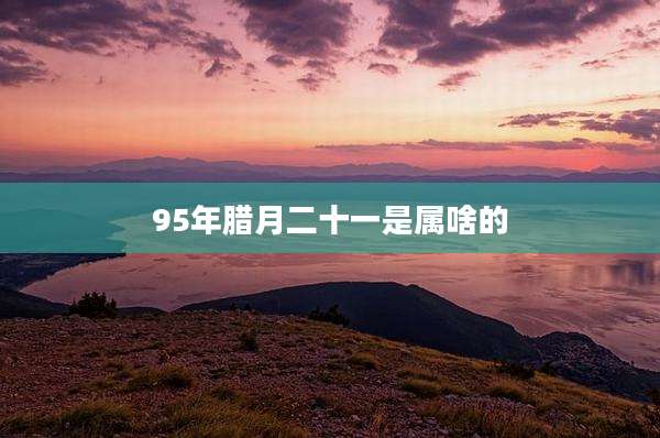 95年腊月二十一是属啥的