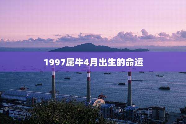 1997属牛4月出生的命运