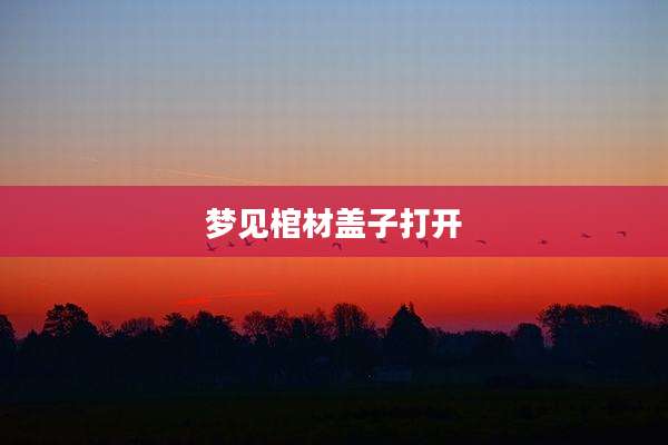梦见棺材盖子打开