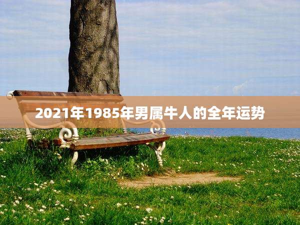 2021年1985年男属牛人的全年运势