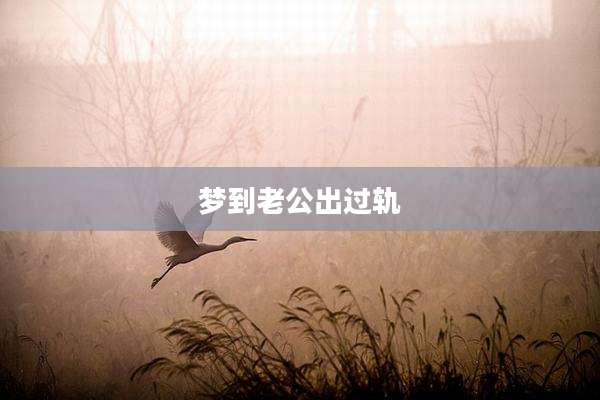 梦到老公出过轨