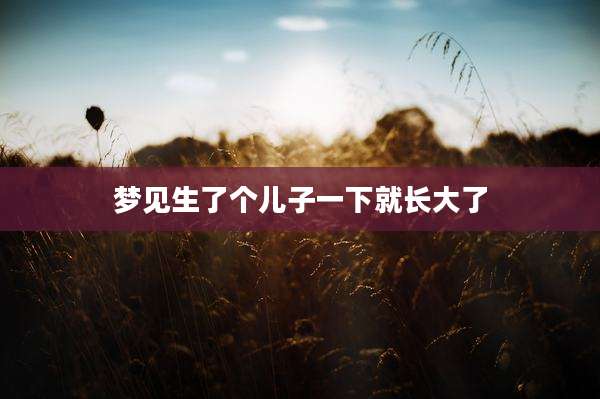 梦见生了个儿子一下就长大了