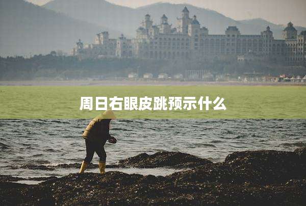 周日右眼皮跳预示什么