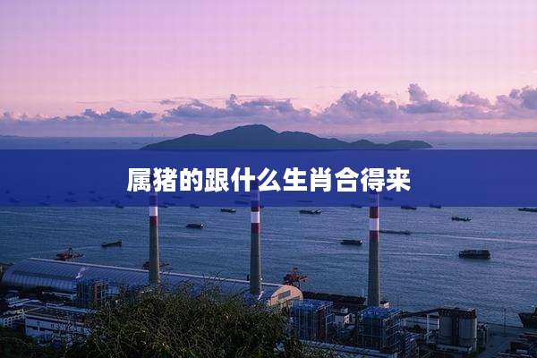 属猪的跟什么生肖合得来
