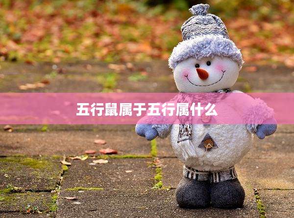 五行鼠属于五行属什么