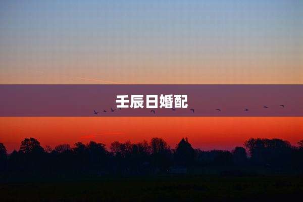 壬辰日婚配