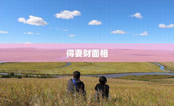 得妻财面相