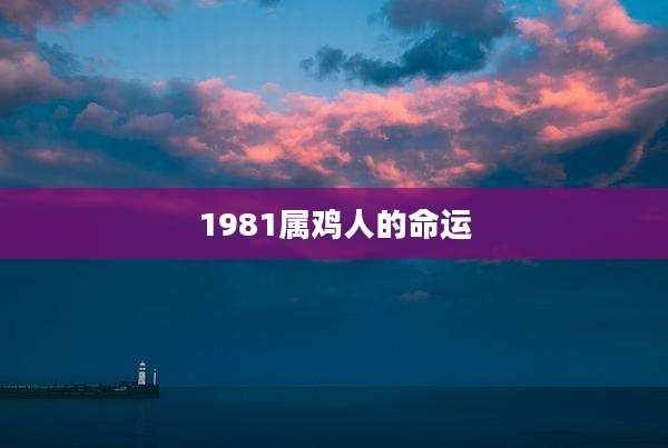 1981属鸡人的命运